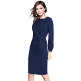 Women's Knitting stretchable Solid Round Neck Full Sleeve Dress (Blue)